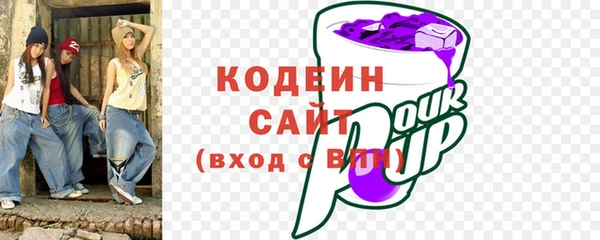 соль ск Туринск