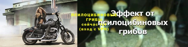 герыч Тында